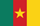 Download the Flag of Cameroon | 40+ Shapes | Seek Flag